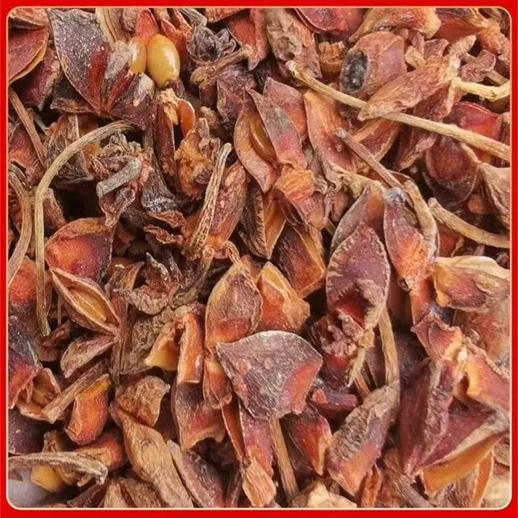 广西新货大红八角瓣和籽全干餐饮常用红瓜子佤味调味料