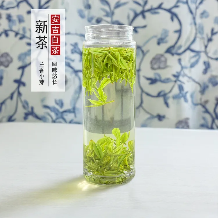 安吉白茶绿茶老母鸡汤A93 安吉核心产区云雾茶叶白茶高山特产白茶