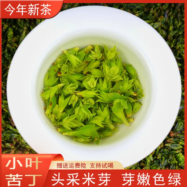 2025年新茶 小叶苦丁茶 嫩芽 全芽头春头采 高山四川青山绿水