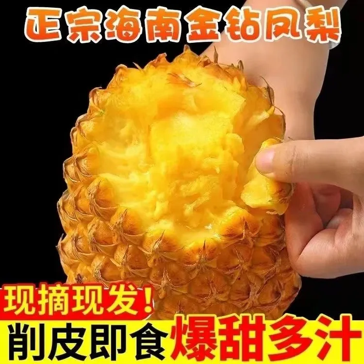 海南金钻凤梨酸甜多汁自然熟果香浓新鲜热带水果