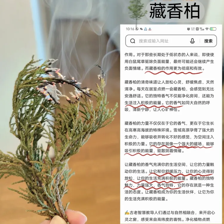 藏香柏青藏高原天然植物藏香家用香薰疗愈舒缓