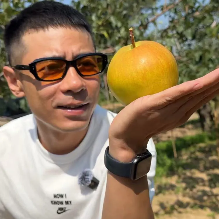 山西玉露香梨产地直发清甜可口多汁脆爽适合中秋送礼（鹏珠专属）