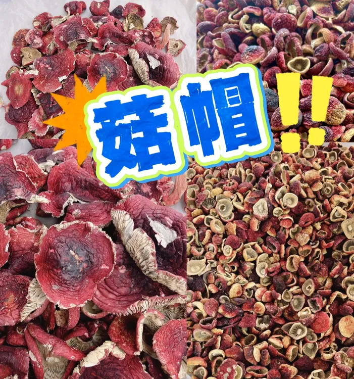 柴烤蓝底正红菇帽
