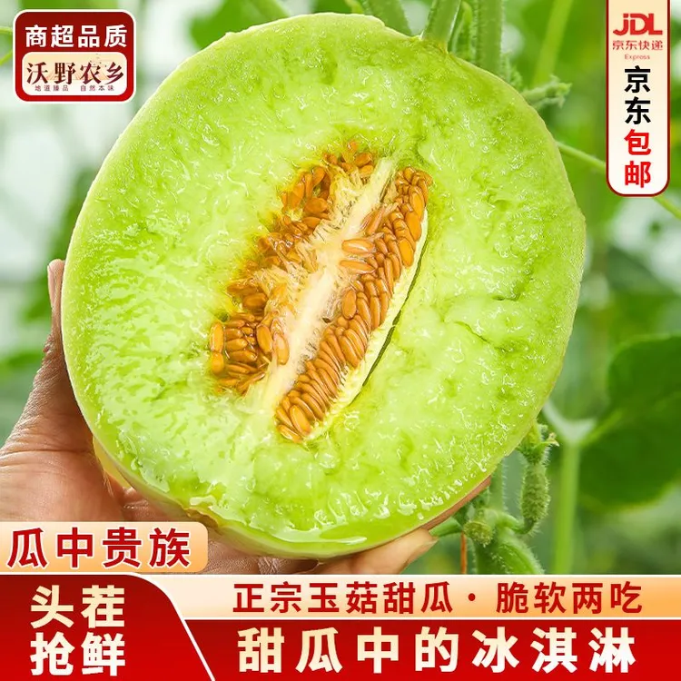 头茬香甜冰淇淋玉菇香瓜甜瓜特大果新鲜当季水果瓜热卖京东包邮商品图