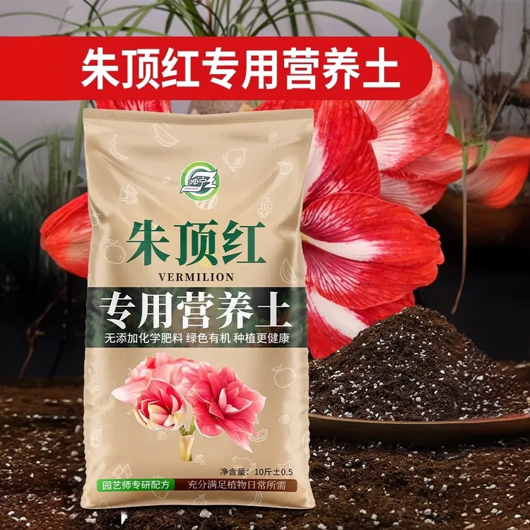 朱顶红专用营养土球根种球专用土壤花卉养花种植土壤家用有机土