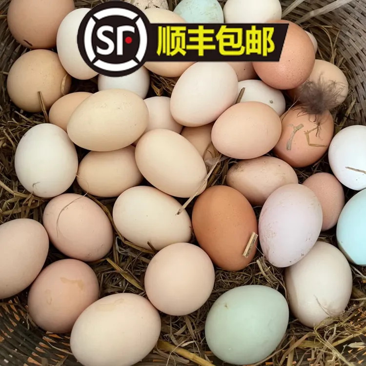 【顺丰包邮】当天现捡土鸡蛋农家散养鸡蛋