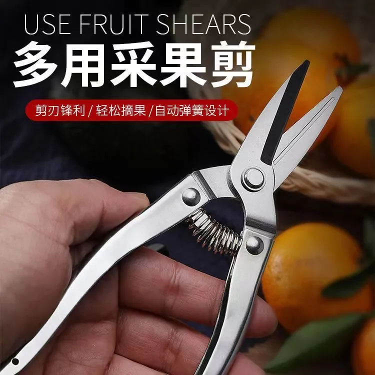 不锈钢采果剪树枝修花专用园林剪锯齿摘果剪摘果采摘剪家用剪