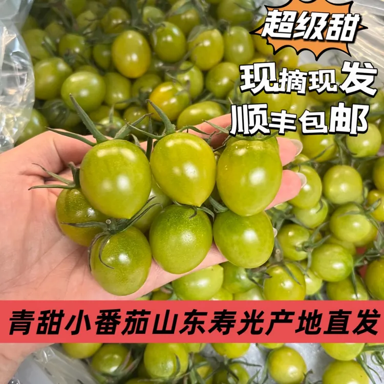 【鼠贝贝专属】山东寿光青甜二号小番茄新鲜多汁自然成熟绿色圣女果
