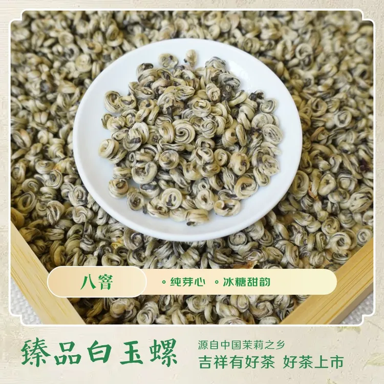 特级茉莉花茶臻品白玉螺浓香冰糖甜毫香鲜灵100%纯正茉莉花茶