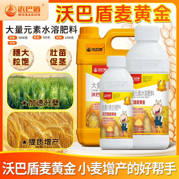 沃巴盾麦黄金小麦抗寒防冻壮苗促茎抗倒伏穗大粒饱稳产有机水溶肥