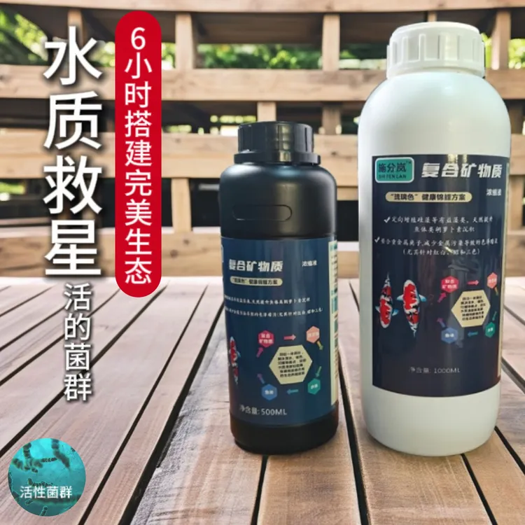 打造琉璃水色抑制色藻消除泡沫锦鲤增色保护肠道