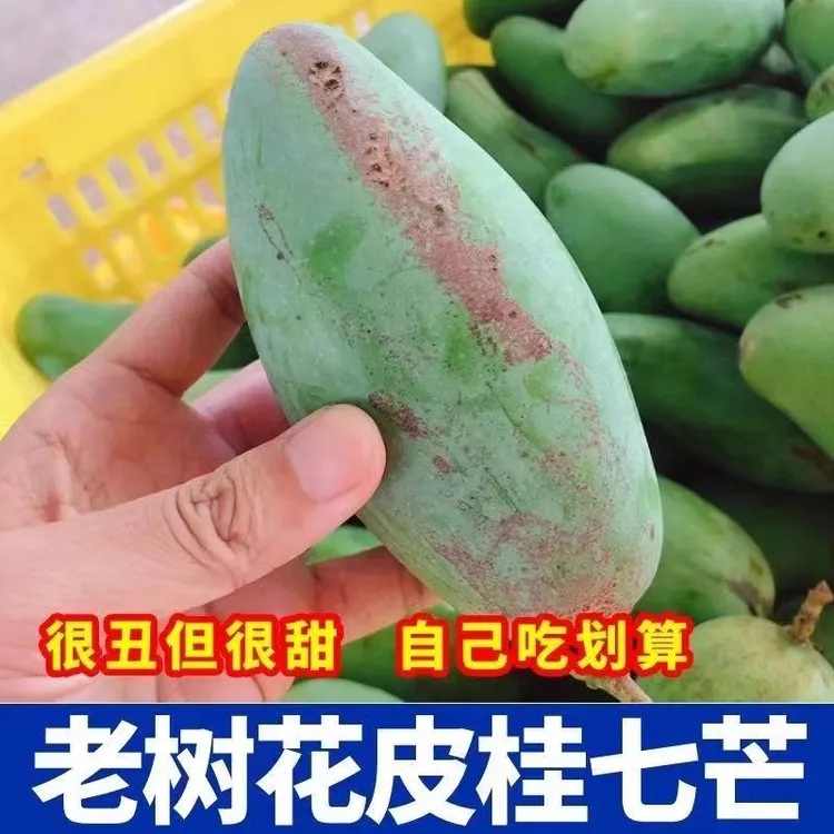 【花皮桂七】正宗广西百色田东桂七芒果  高山老树花皮蜜甜浓香