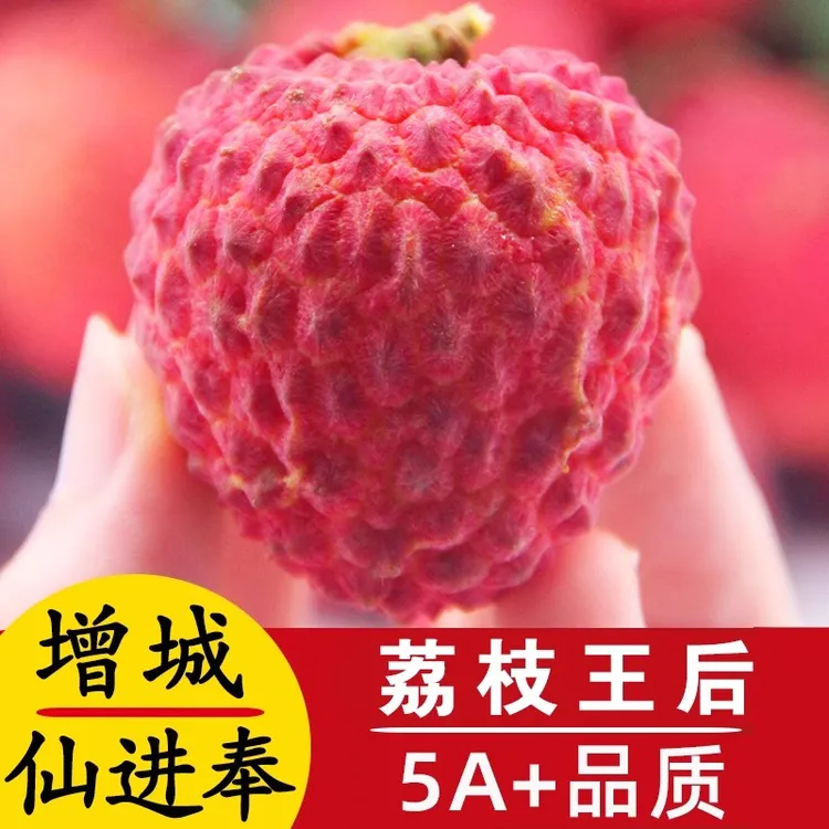 顺丰空运正宗广东增城仙进奉荔枝新鲜水果当季现摘现发孕妇可吃