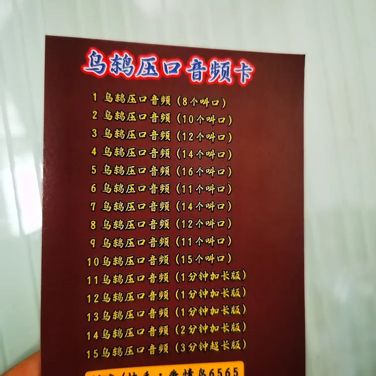 乌鸫音频卡片服务卡片目录卡片
