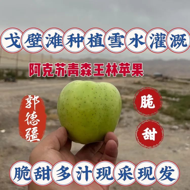 正宗新疆阿克苏王林苹果青苹果 戈壁滩种植 新鲜采摘顺丰包邮