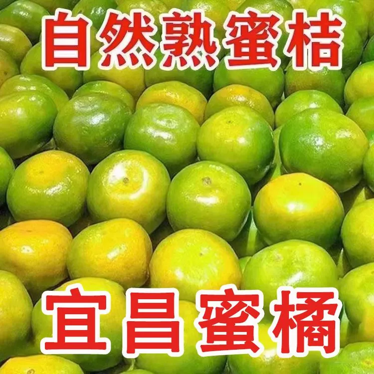 正宗宜昌蜜橘9斤新鲜当季现摘无籽青皮蜜桔橘子大果水果包邮