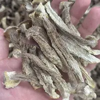 【福利】精选靓鹿茸菇无硫无沙 足干足称 当季新菇 肉质饱满 嫩脆