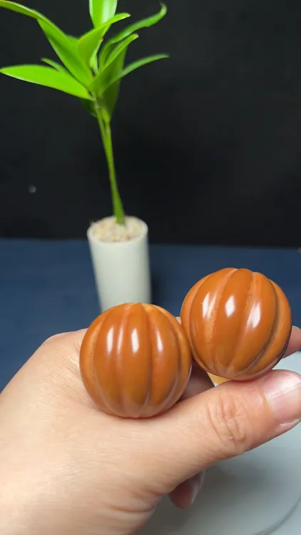 南瓜珠 来米顶呱呱 巴西橄榄