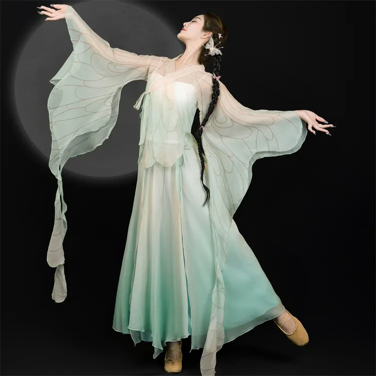 古典舞演出服飘逸舞蹈服蝴蝶纱衣练功服中国风渐变裙裤中国舞套装