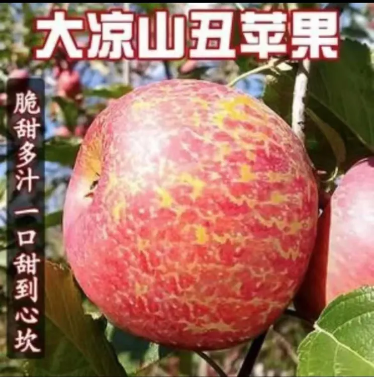 四川大凉山盐源丑苹高山红富士苹果4.5斤/8.5斤装新鲜脆甜好吃