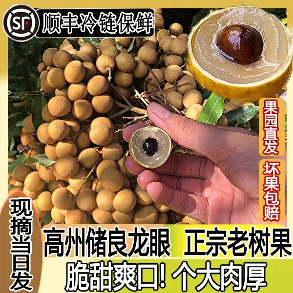 【顺丰冷链】储良龙眼茂名高州3/4.5/8斤老树新鲜现摘现发脆甜