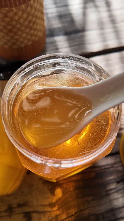 深山冬桂蜂蜜 顺丰包邮