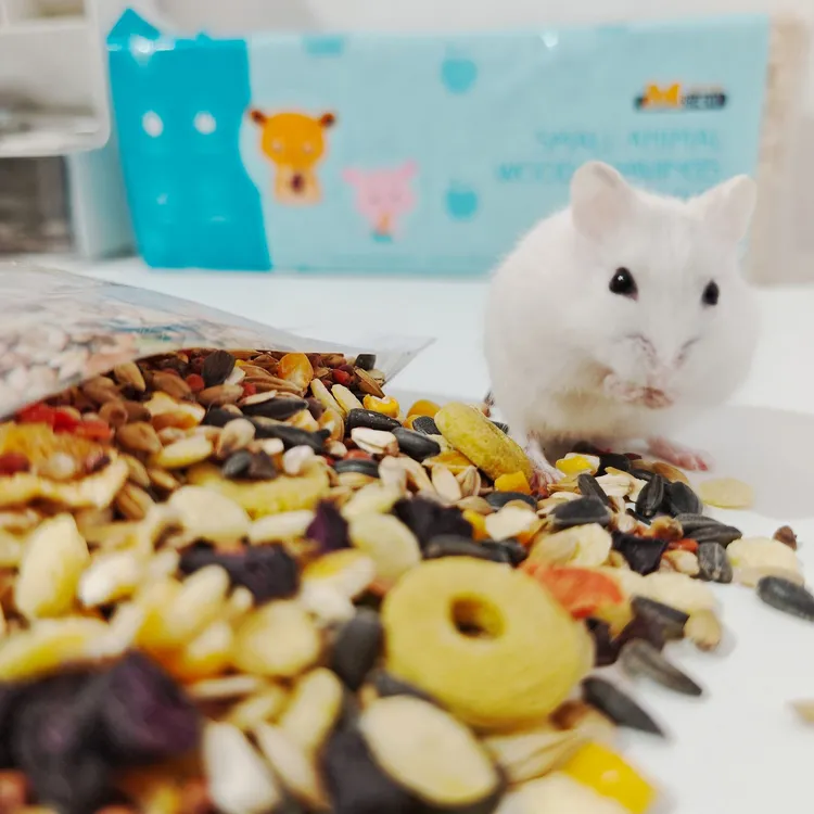 仓鼠奶茶公公婆婆温顺家养已做脱敏可上手布丁银狐三线紫仓一对