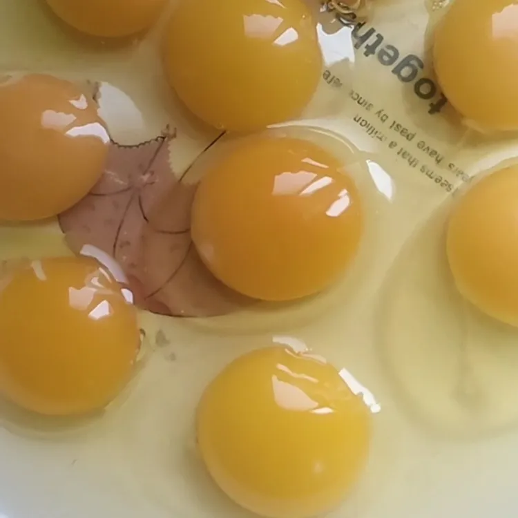 新鲜营养五谷杂粮土鸡初生土鸡蛋