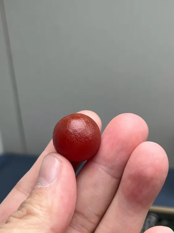 精品老甘南玛瑙直径19.5-19.9mm之间