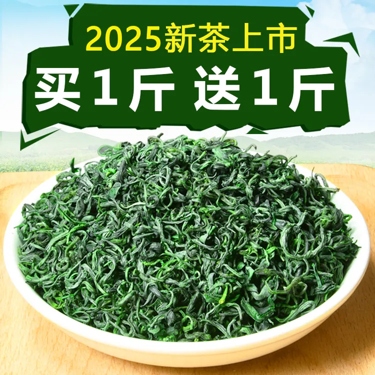 【赠送1斤】2025年新茶贵州高山云雾绿茶浓香型散装毛尖茶叶1000g