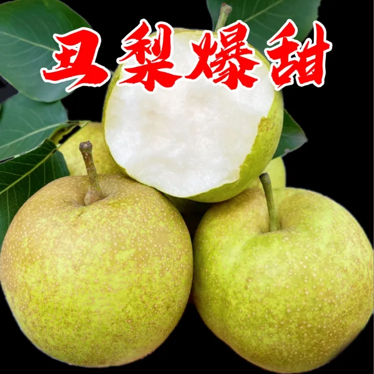 正宗花皮丑梨翠冠梨蜜梨甜蜜梨现摘梨