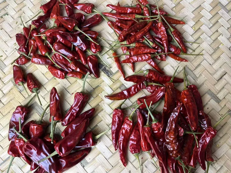 遵义高山农家香辣干辣椒又香又辣手工挑选