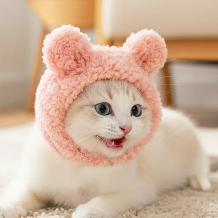 猫咪帽子巫师帽头套狗狗宠物头饰冬天露耳朵小狗宠物专用泰迪比熊
