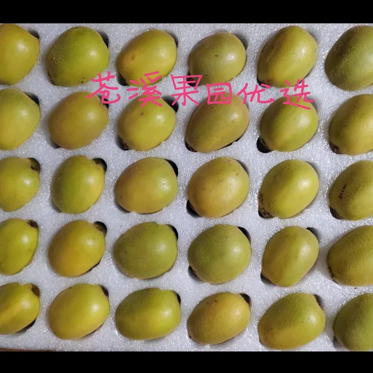 四川苍溪红心猕猴桃奇异果新鲜香甜当季水果（偏远地区运费另算）