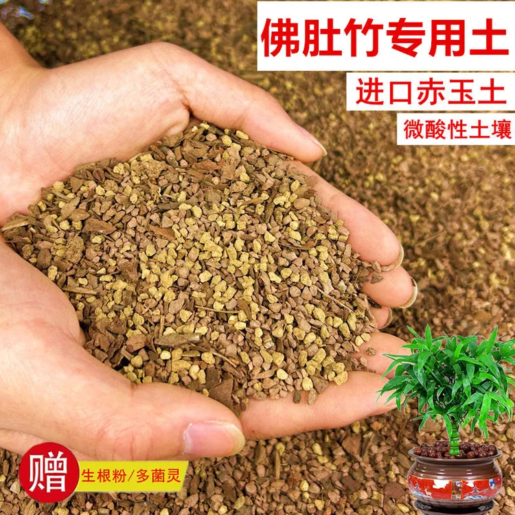 佛肚竹植物颗粒土透气赤玉土风化土营养土盆景土花卉绿植种植土