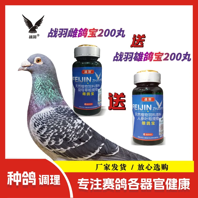 战羽雌鸽宝雄鸽宝种鸽赛鸽用品鸽子不产蛋水蛋软蛋沙壳蛋