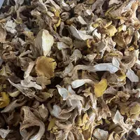 云南山货鸡油菌250克