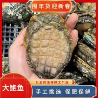 大连本地大鲍鱼4个头左右，8只起拍，包肥包鲜不保活，大连发货
