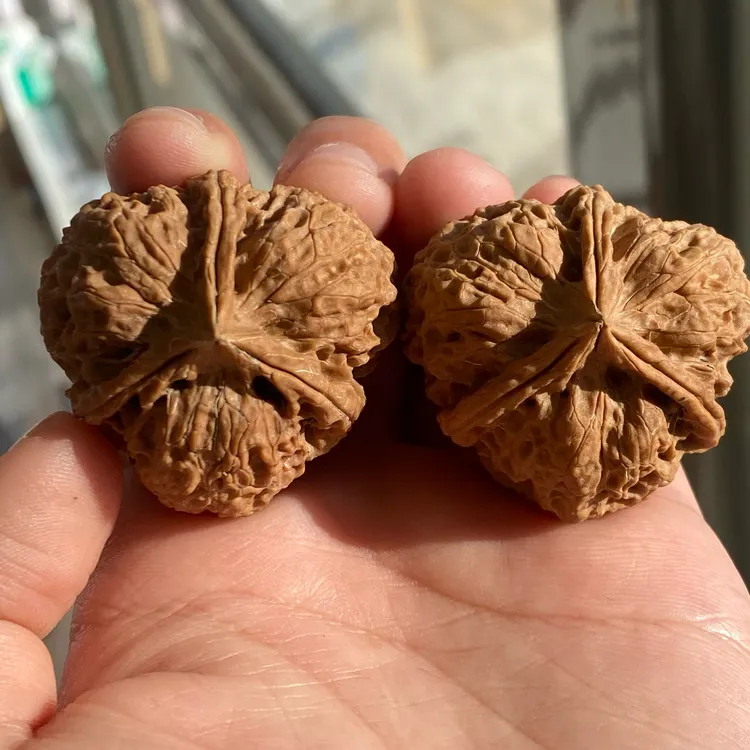 核桃把件云铁名款 蛇王三棱