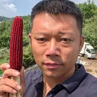 老杨自制纯植物工艺品摆件（仅供观赏）～抖音