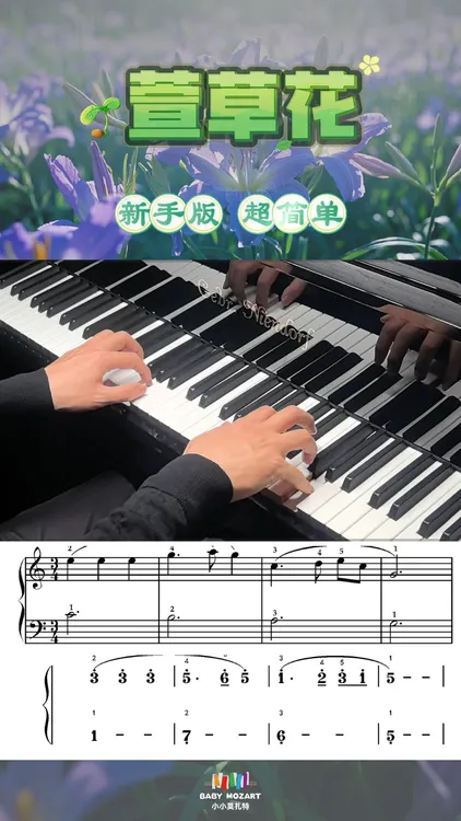《萱草花》新手简单版钢琴谱（五线谱+简谱+示范视频试听）