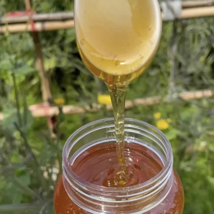 假一赔十正宗土蜂蜜