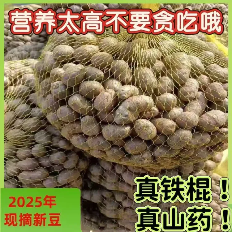 批发价】2025新鲜铁棍山药豆农家中大果特大怀淮焦作3斤5斤糖葫芦