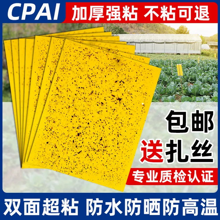 CPAI粘虫板黄板双面大棚菜园粘蚊贴苍蝇贴果园小飞虫果蝇诱捕器