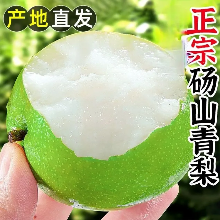 正宗砀山青皮蜜梨皇冠梨翠冠梨翠玉雪梨新鲜水果现摘现发无渣脆甜
