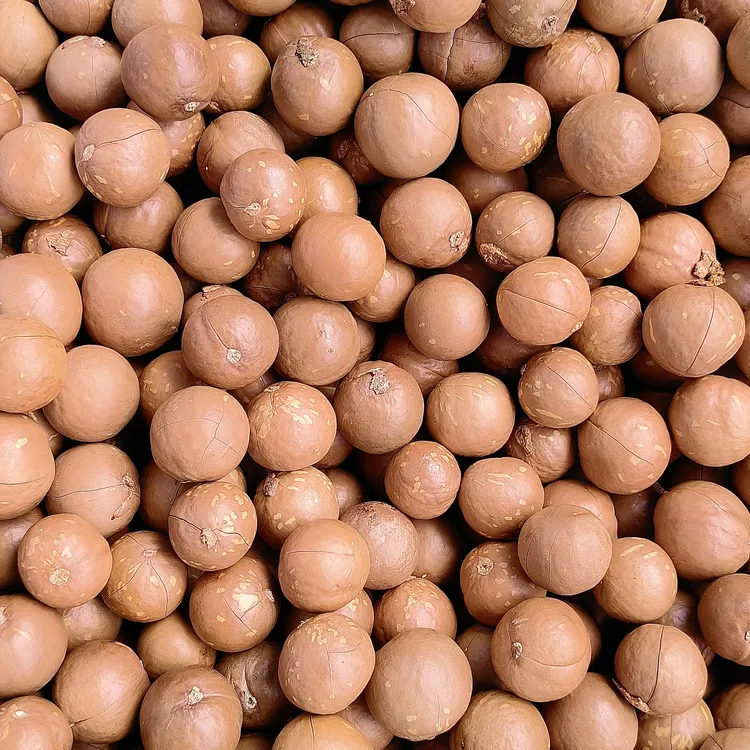 云南特产坚果新货奶香味大颗粒夏威夷果孕妇休闲零食干果