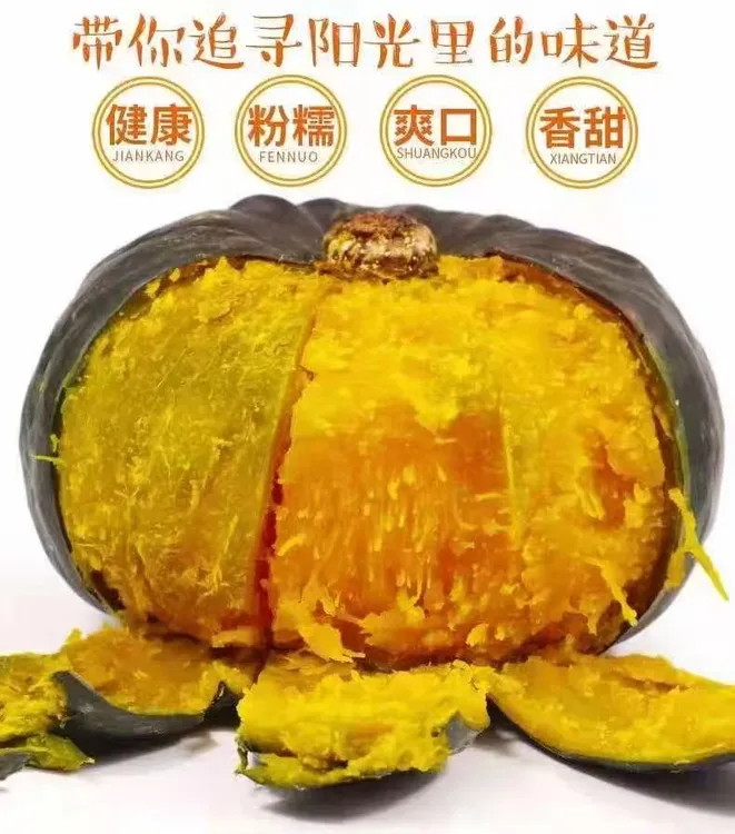 沙地贝贝南瓜新鲜采摘粉糯香甜板栗味可当宝宝辅食