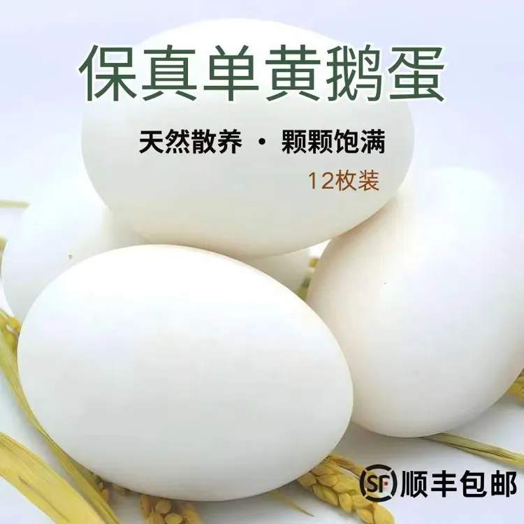 农户自养新鲜散养农家土鹅蛋整箱大个头适合孕妇100-115g顺丰包邮