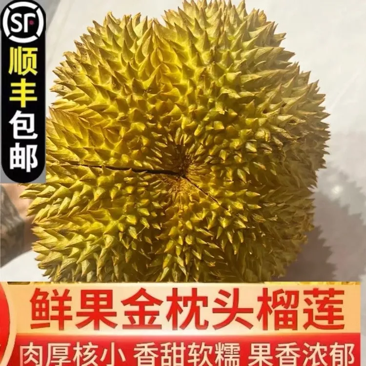 【新鲜】泰国金枕榴莲带壳一整个软糯香甜水果批发包邮