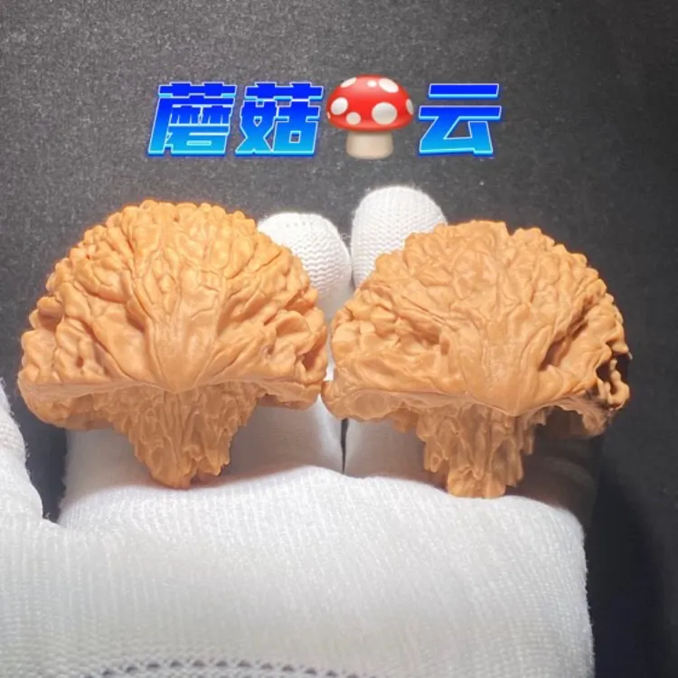蘑菇云 文玩核桃官帽异形 又美又煞 亦谓聚宝盆 寓意深远 藏品